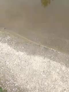 EVIL_TITS Live Sex December 17, 2025