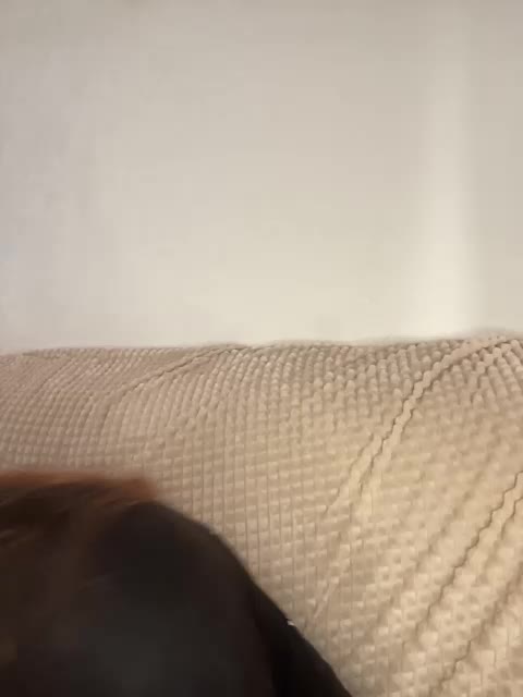 Vexahlia Live Sex December 15, 2025