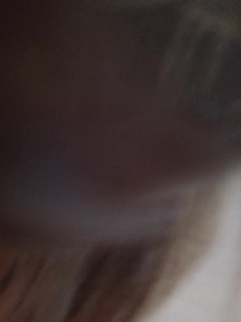 Yamiakuma Live Sex December 14, 2025