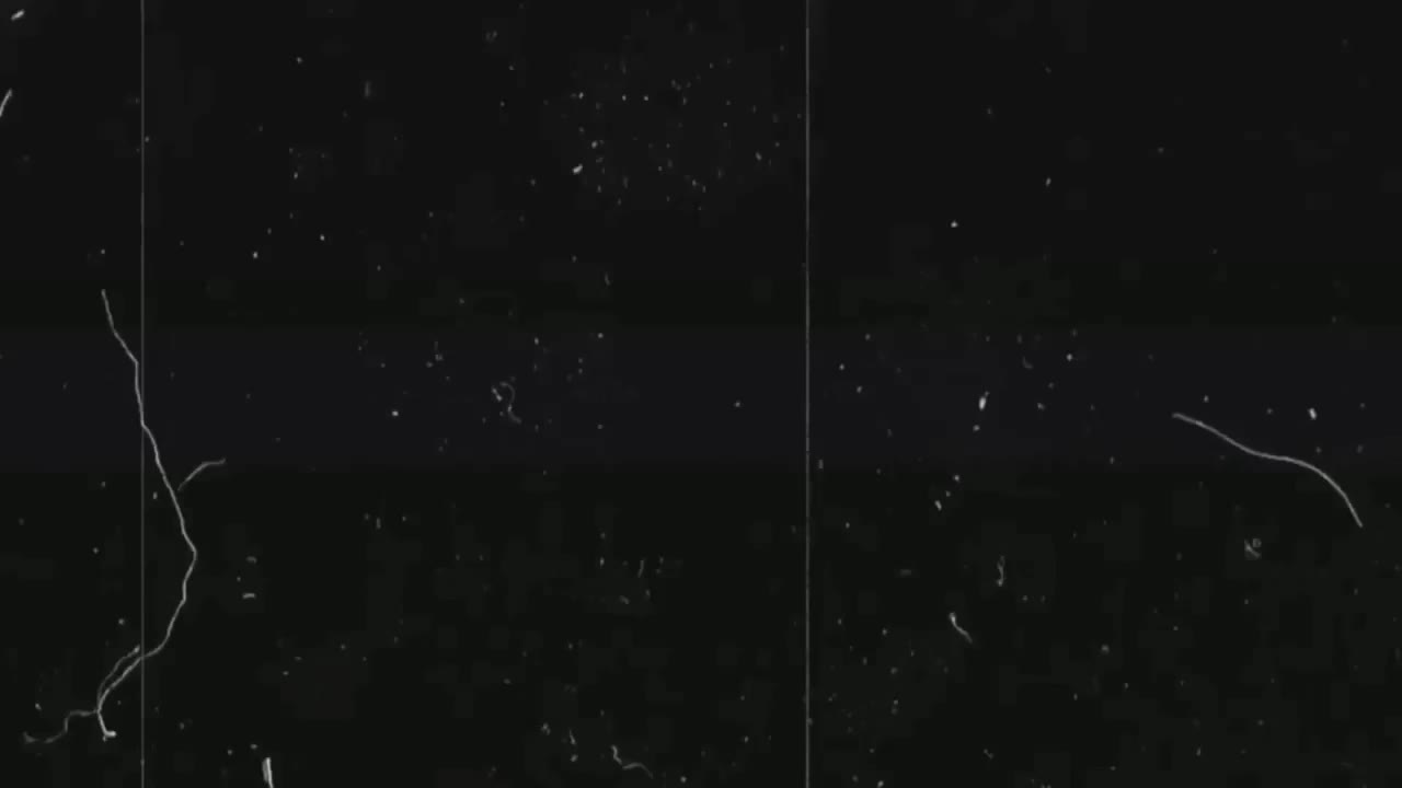 -Vivian- Live Sex December 13, 2025