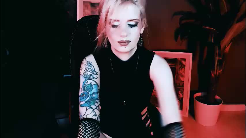 noah_elmer Live Sex December 15, 2025