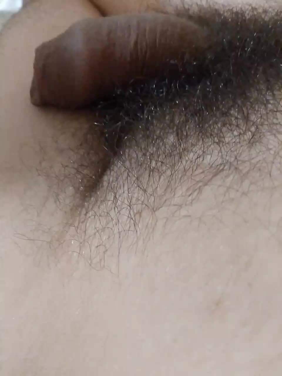 Fuffocka Live Sex December 15, 2025