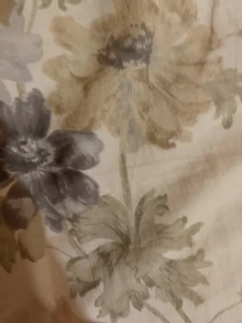 Fuffocka Live Sex December 15, 2025