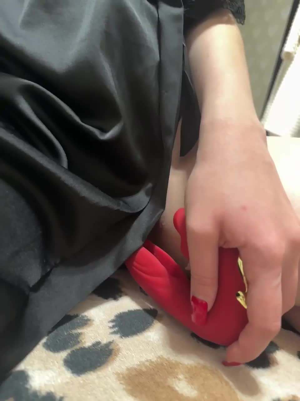 Fox-81 Live Sex December 12, 2025