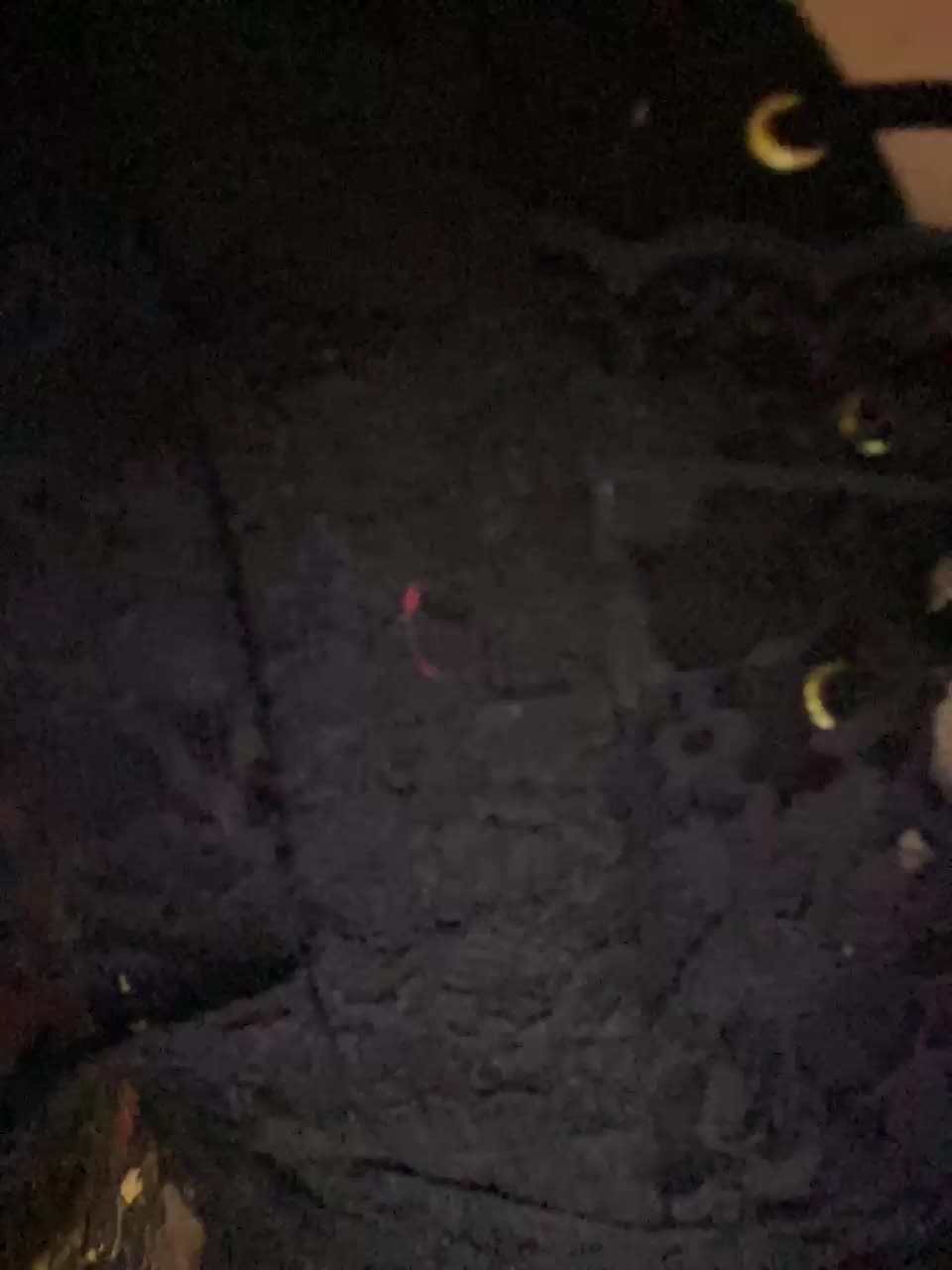 TTwoloverss Live Sex December 17, 2025