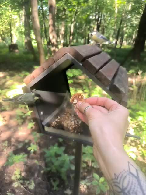 TilyTily Live Sex December 14, 2025