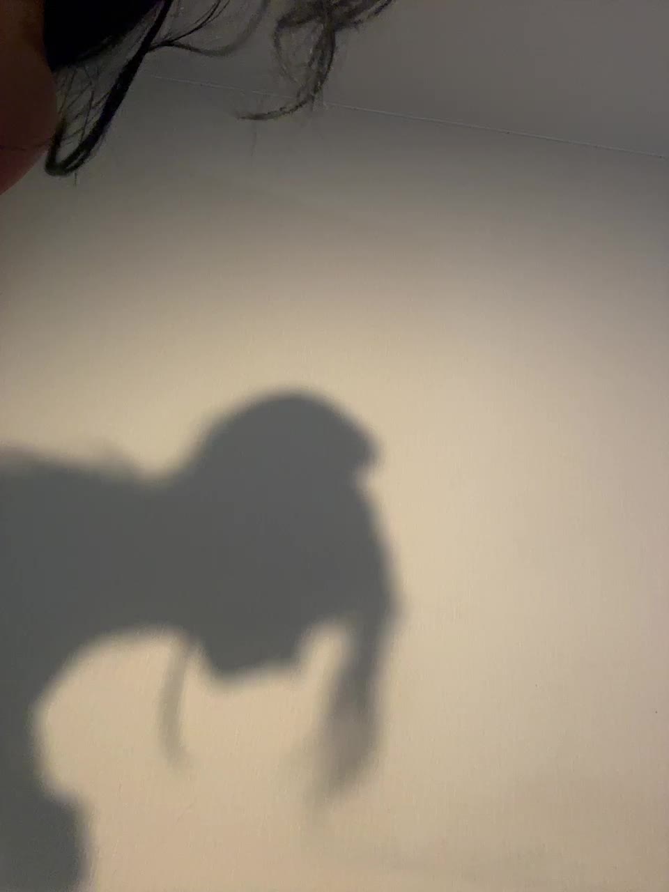 VULGARITY Live Sex December 13, 2025