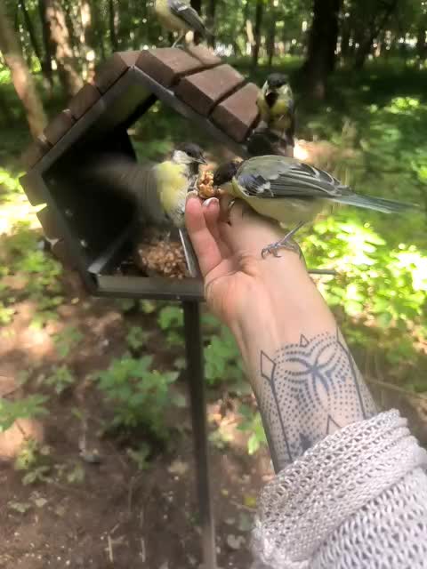 TilyTily Live Sex December 14, 2025