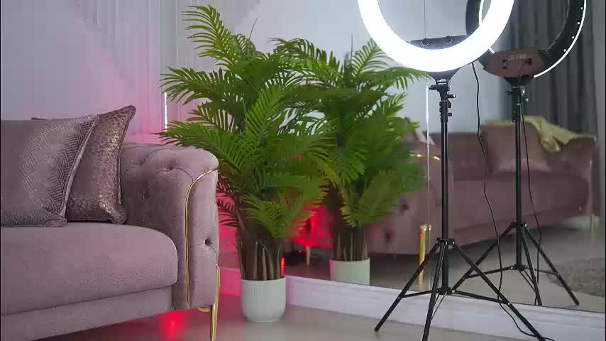 abbela_white Live Sex December 14, 2025