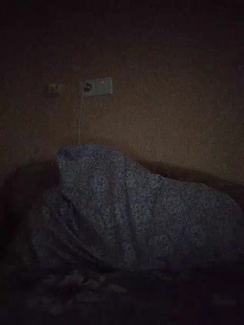 LunaRex Live Sex December 14, 2025