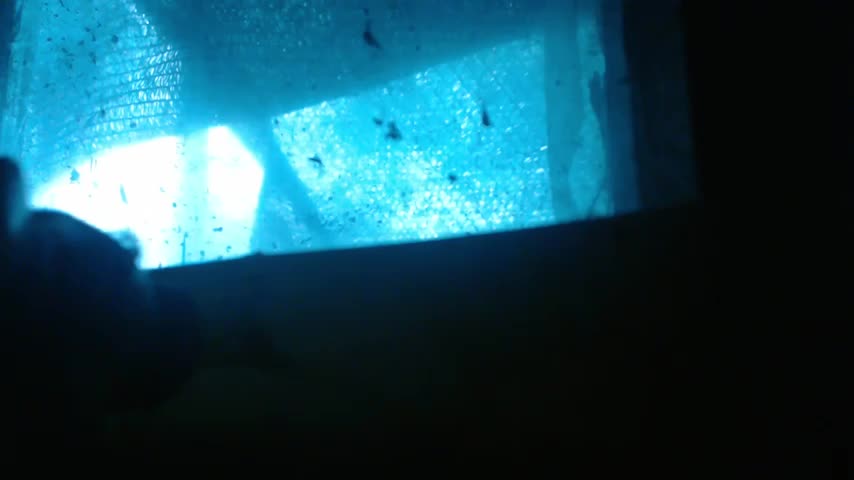 1BECHA1 Live Sex December 19, 2025