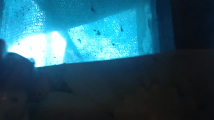 1BECHA1 Live Sex December 19, 2025