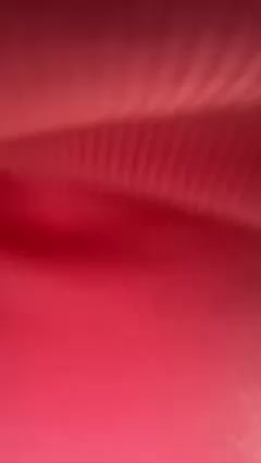 PrurientGem Live Sex December 14, 2025