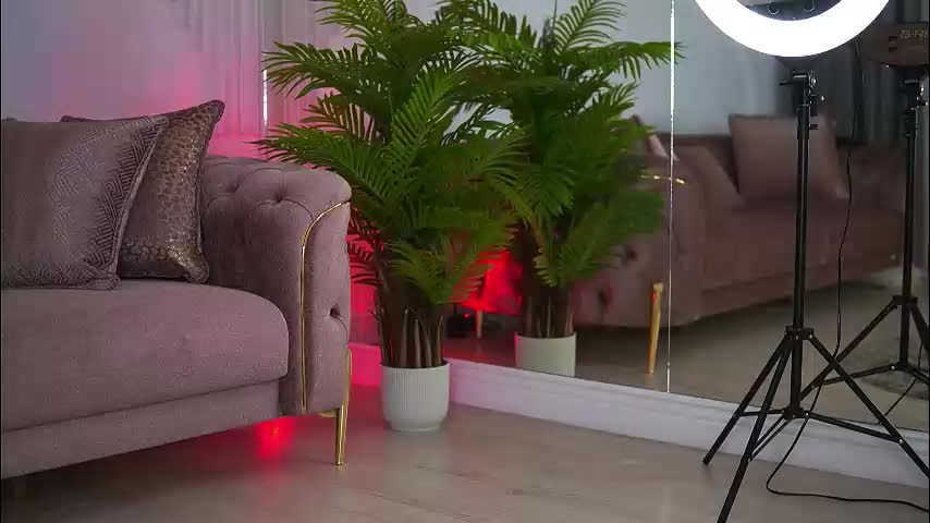 abbela_white Live Sex December 14, 2025