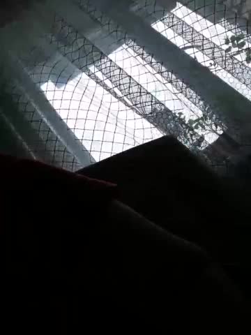 SweetDimond5 Live Sex December 13, 2025