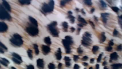 Veta-Viola Live Sex December 18, 2025