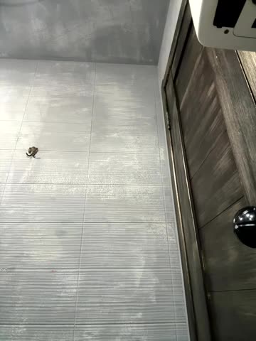 RinaCat Live Sex December 13, 2025