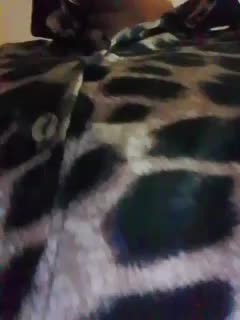 EVIL_TITS Live Sex December 17, 2025