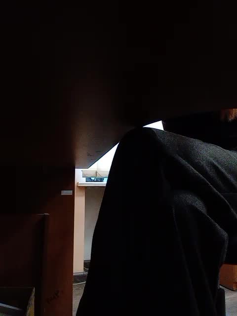 GolayaPravda Live Sex December 14, 2025