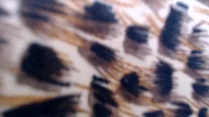 Veta-Viola Live Sex December 18, 2025