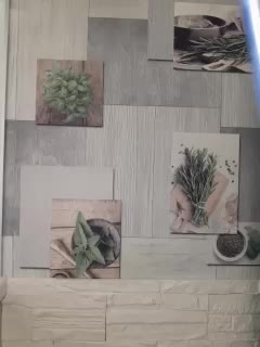 Anesteishen Live Sex December 19, 2025