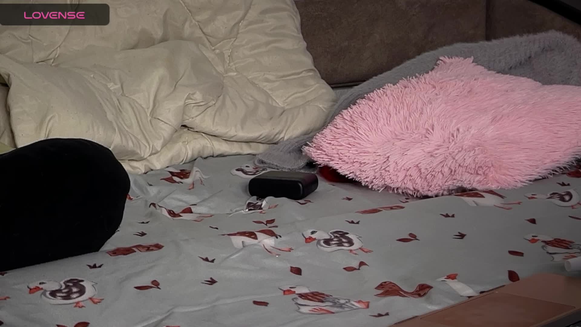 ZoyaVikki Live Sex December 17, 2025