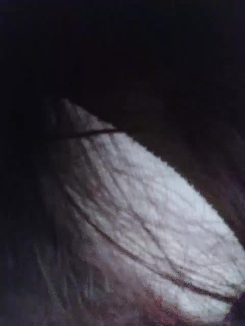 -Nanamin- Live Sex December 17, 2025