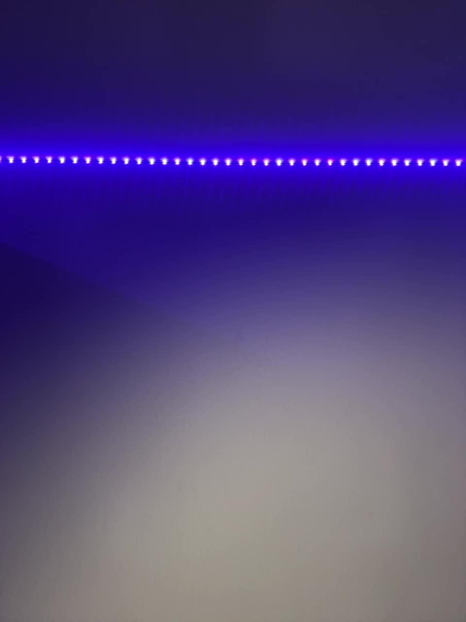 VULGARITY Live Sex December 13, 2025