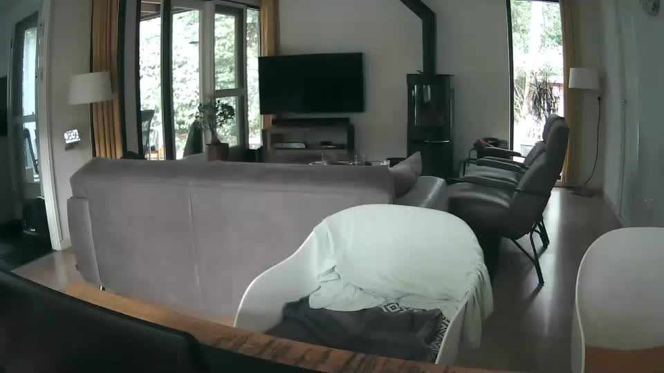 woodwurm Live Sex August 27, 2025