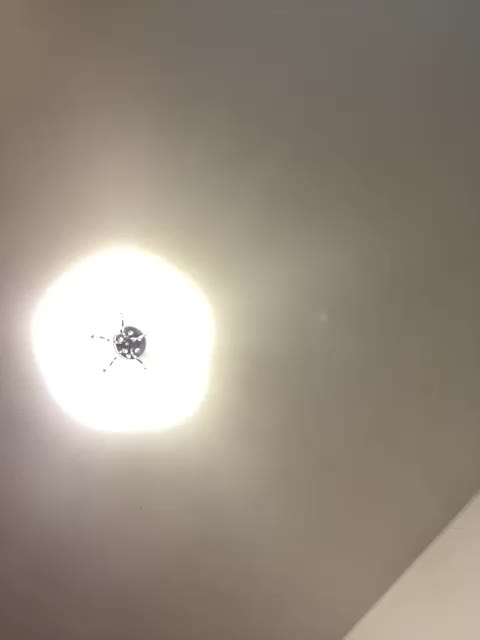 _-Afina-_ Live Sex December 14, 2025