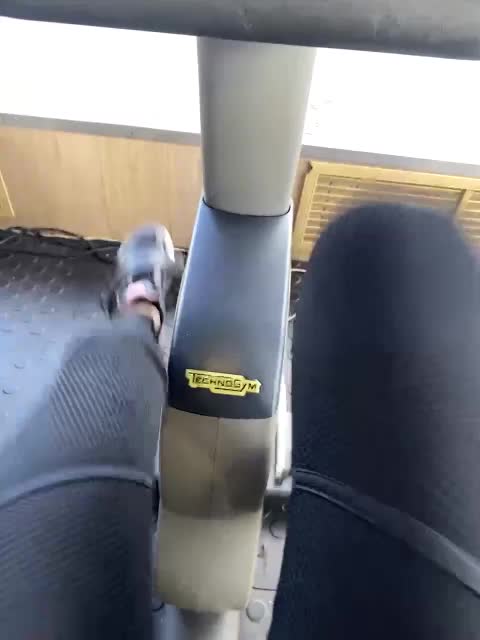 Ameli-na-meli Live Sex December 17, 2025