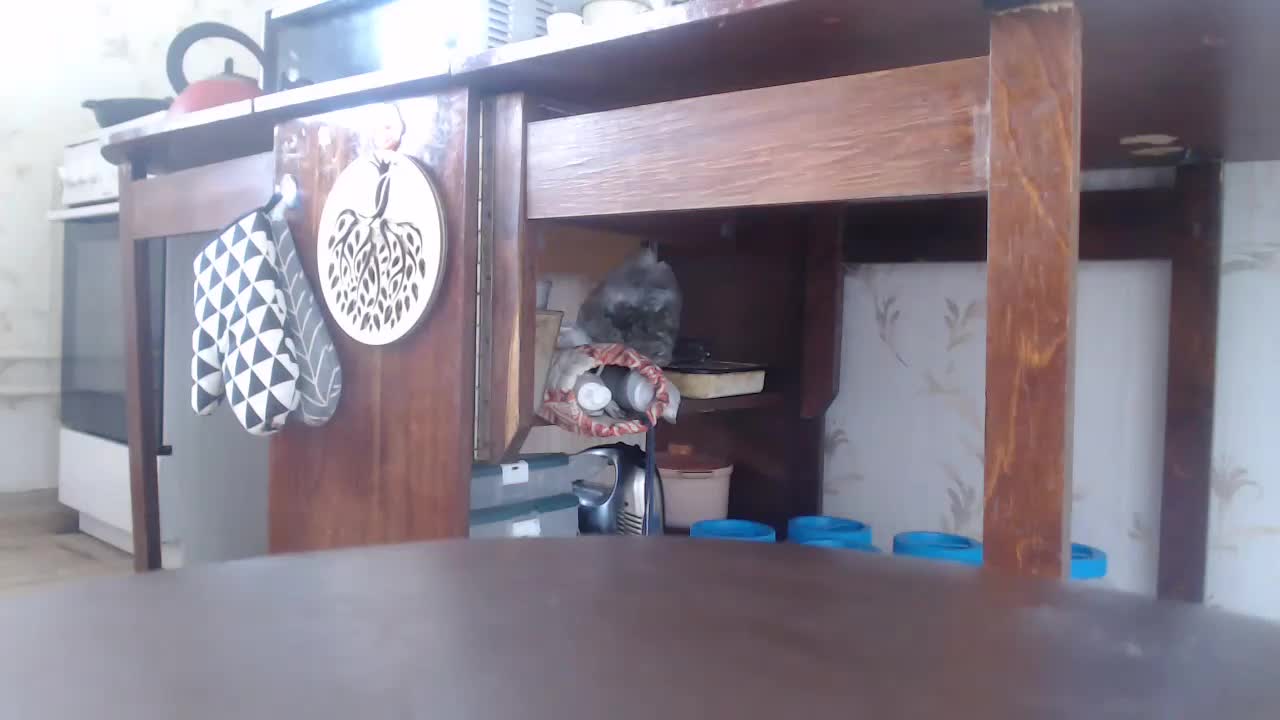 berry252 Live Sex December 14, 2025