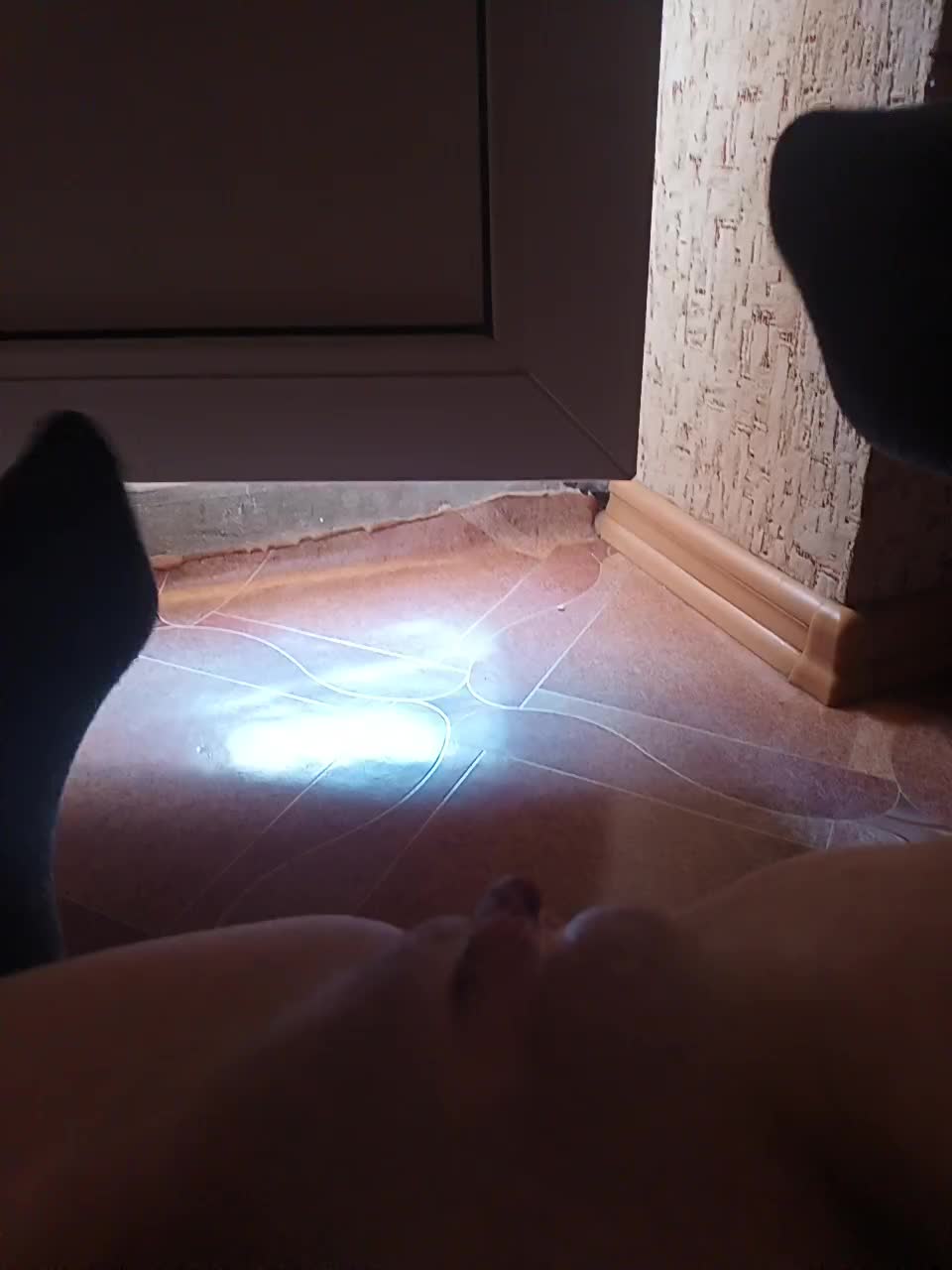 luii-25 Live Sex December 13, 2025