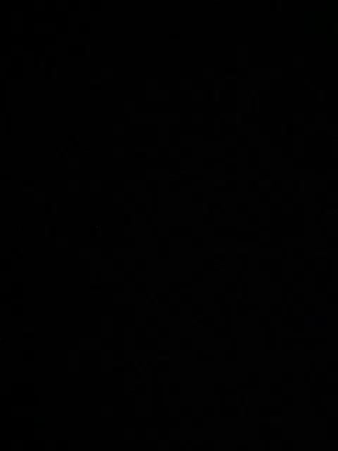 Ameli-na-meli Live Sex December 17, 2025