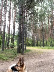 MiraReach Live Sex December 17, 2025