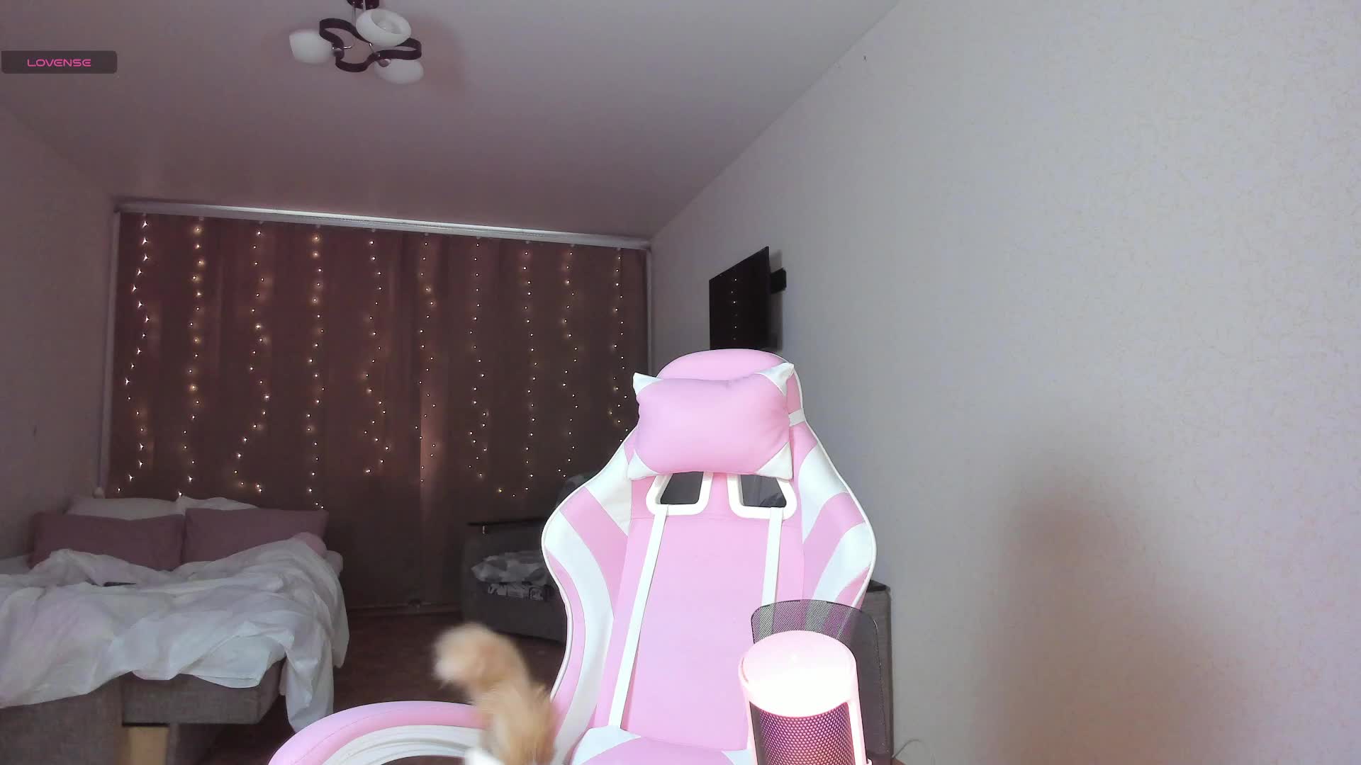 Polikinesis Live Sex December 13, 2025