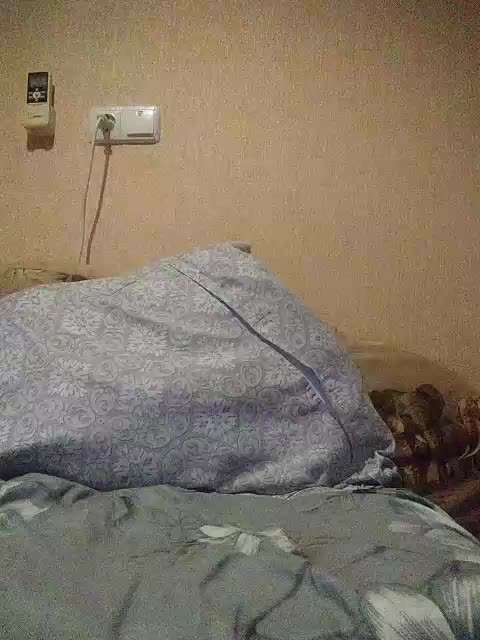 LunaRex Live Sex 2025.08.28