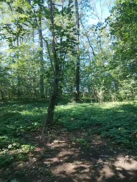 AHAHAC_HAXPEH_B_yHuTa3 Live Sex December 18, 2025