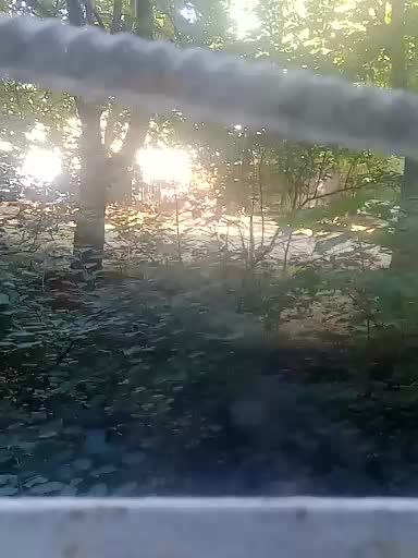 Elena380 Live Sex December 13, 2025