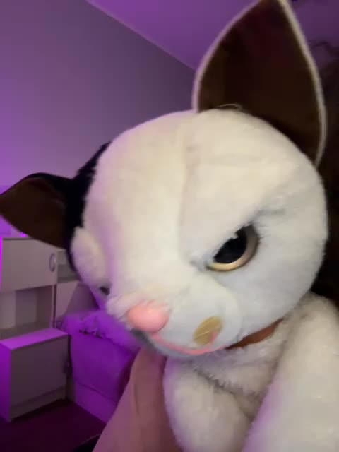 ShyAlya Live Sex December 17, 2025