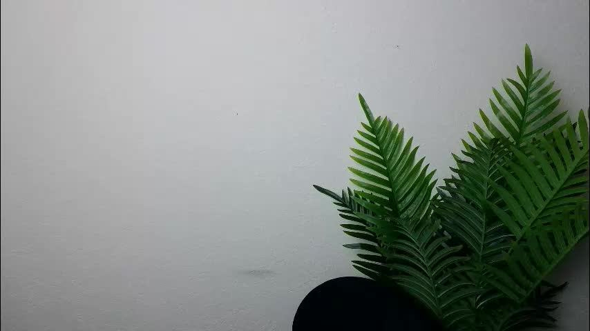 veryveryshygirl Live Sex December 13, 2025