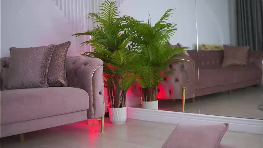 abbela_white Live Sex December 14, 2025