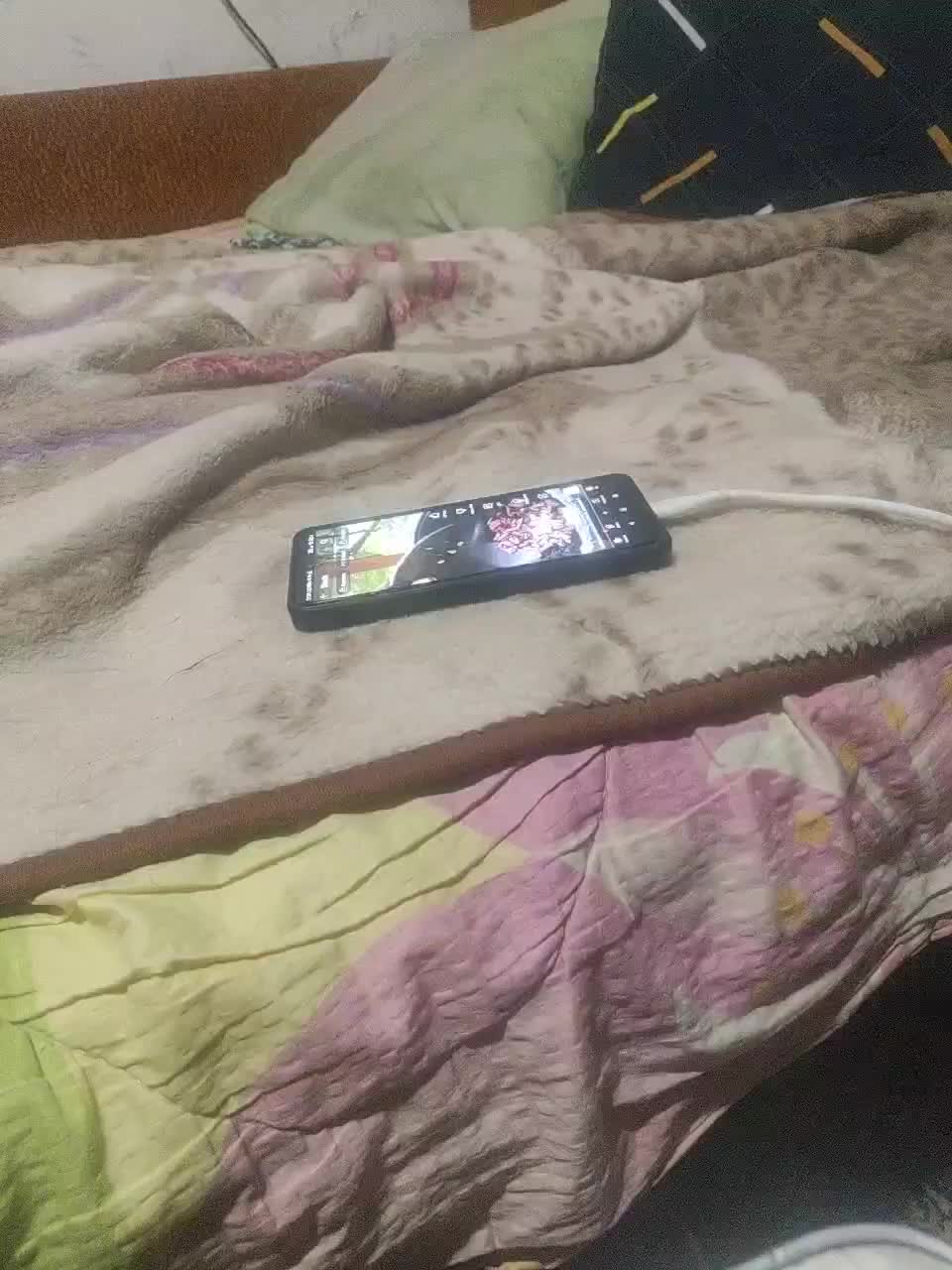 SexPara696969 Live Sex December 14, 2025