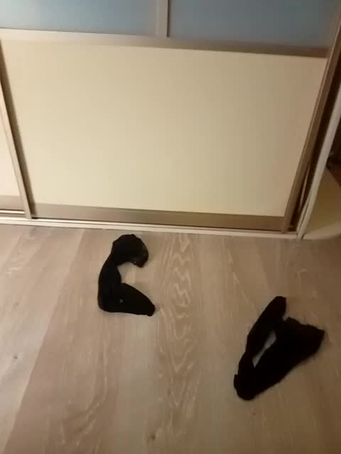 TataMiha2208 Live Sex August 29, 2025