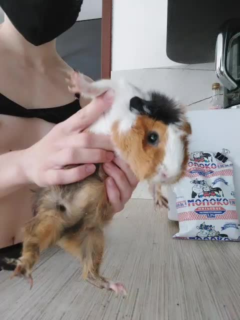 AngelsBoobs Live Sex December 14, 2025