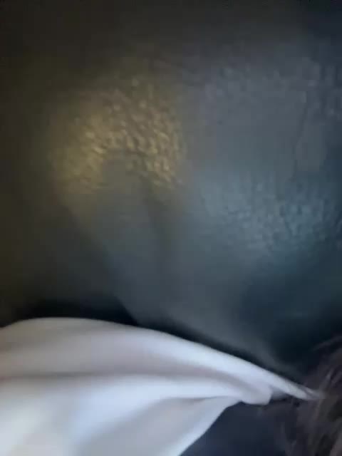 Wow-Eva Live Sex December 15, 2025