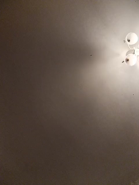 Maluska-Lapyla Live Sex December 18, 2025