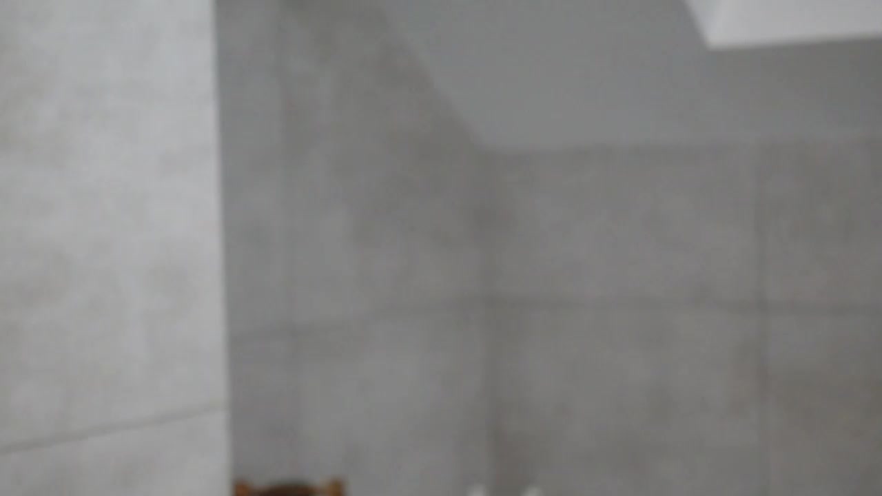 Taanni Live Sex December 14, 2025