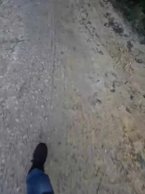 VCHELSIV Live Sex December 18, 2025