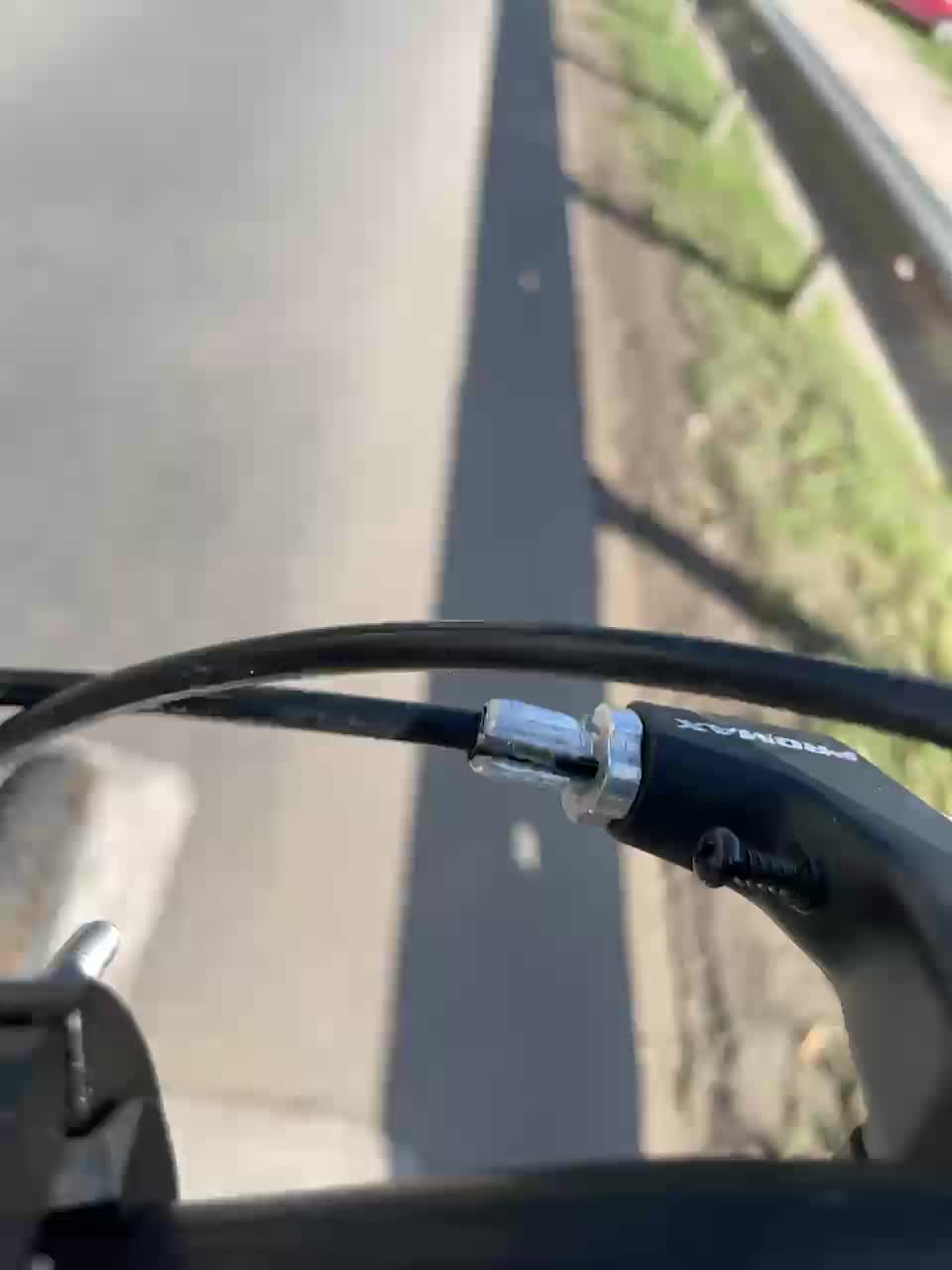 RedAura Live Sex December 14, 2025